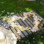 Отель Fletcher Waldhotel Nordrhein-westfalen Хайлигенхаус